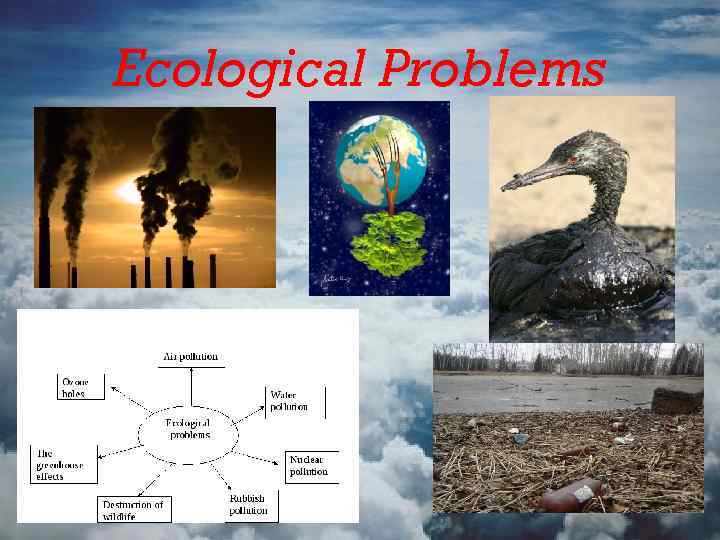 Ecological Problems 