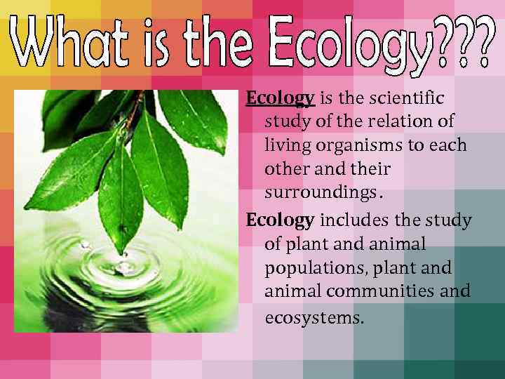 Ecology is the scientific study of the relation of living organisms to each other