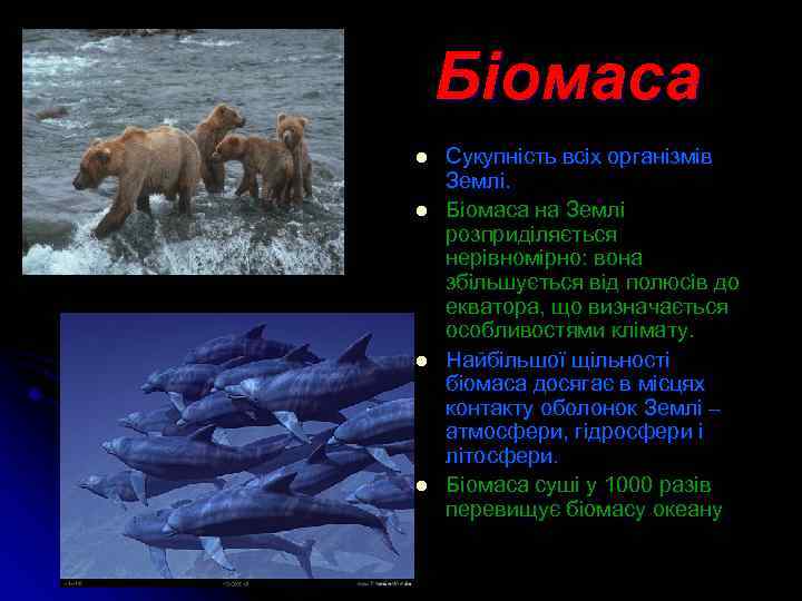 Біомаса l l Сукупність всіх організмів Землі. Біомаса на Землі розприділяється нерівномірно: вона збільшується