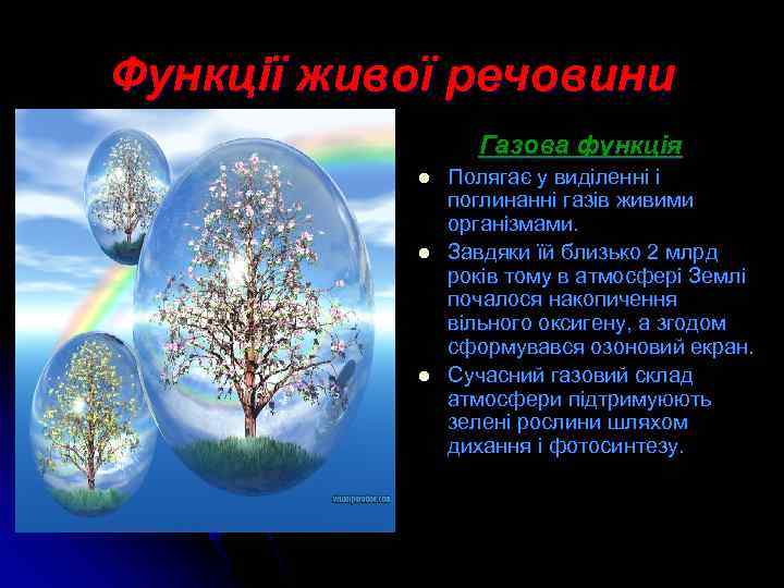 Функції живої речовини Газова функція l l l Полягає у виділенні і поглинанні газів