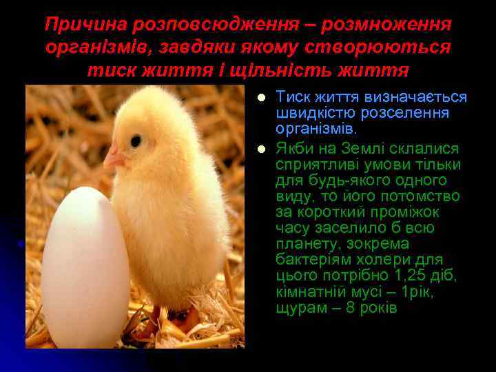 Причина розповсюдження – розмноження організмів, завдяки якому створюються тиск життя і щільність життя l