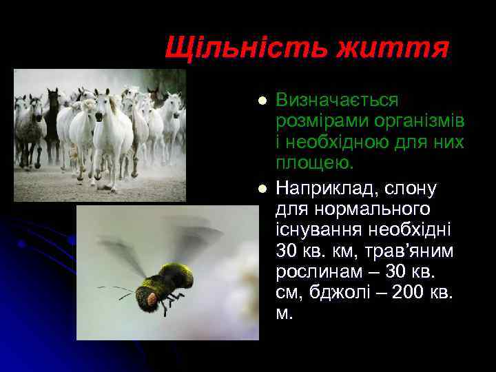 Щільність життя l l Визначається розмірами організмів і необхідною для них площею. Наприклад, слону