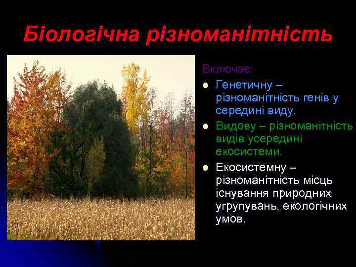 Біологічна різноманітність Включає: l Генетичну – різноманітність генів у середині виду. l Видову –