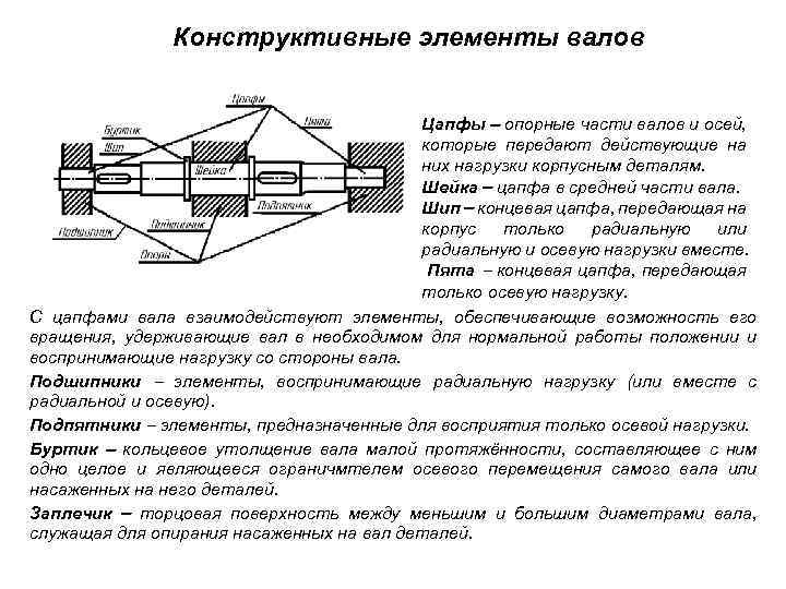 Конструктивные элементы валов Цапфы опорные части валов и осей, которые передают действующие на них