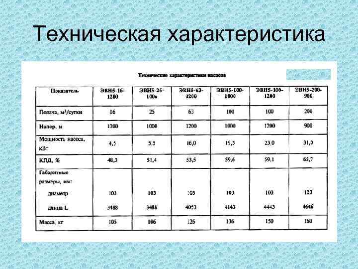 Техническая характеристика 