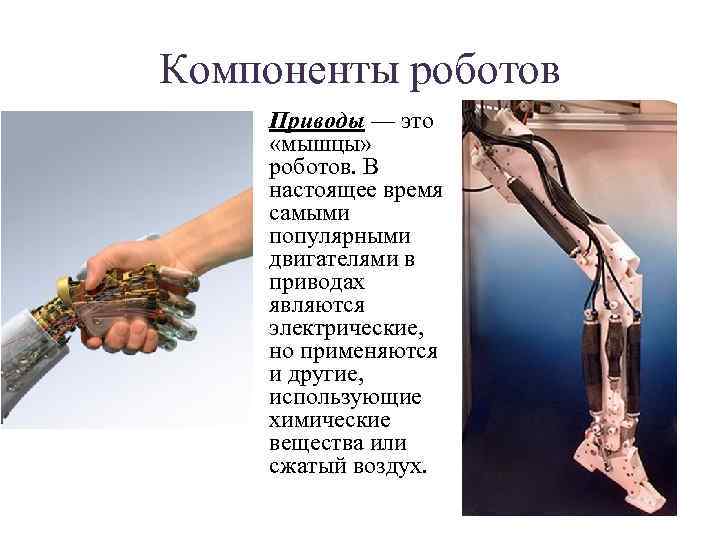 Компоненты роботов • Приводы — это «мышцы» роботов. В настоящее время самыми популярными двигателями