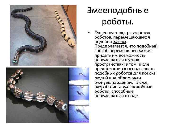 Змееподобные роботы. • Существует ряд разработок роботов, перемещающихся подобно змеям. Предполагается, что подобный способ