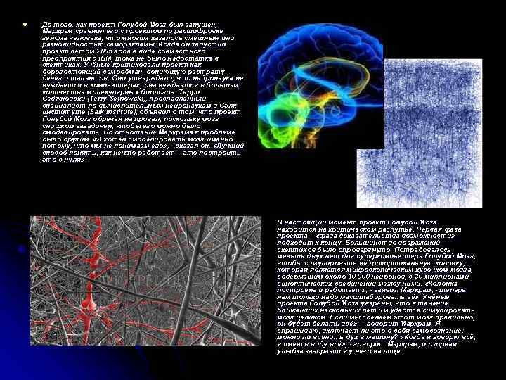 l До того, как проект Голубой Мозг был запущен, Маркрам сравнил его с проектом