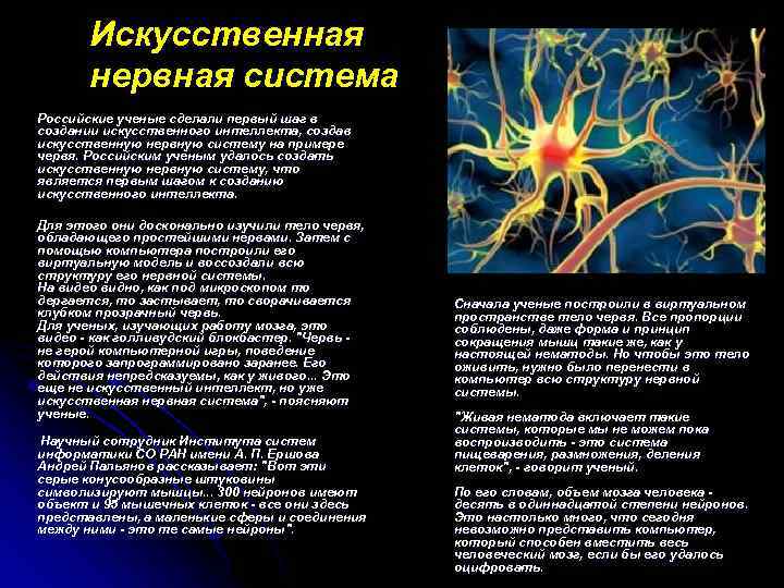 Искусственная нервная система Российские ученые сделали первый шаг в создании искусственного интеллекта, создав искусственную