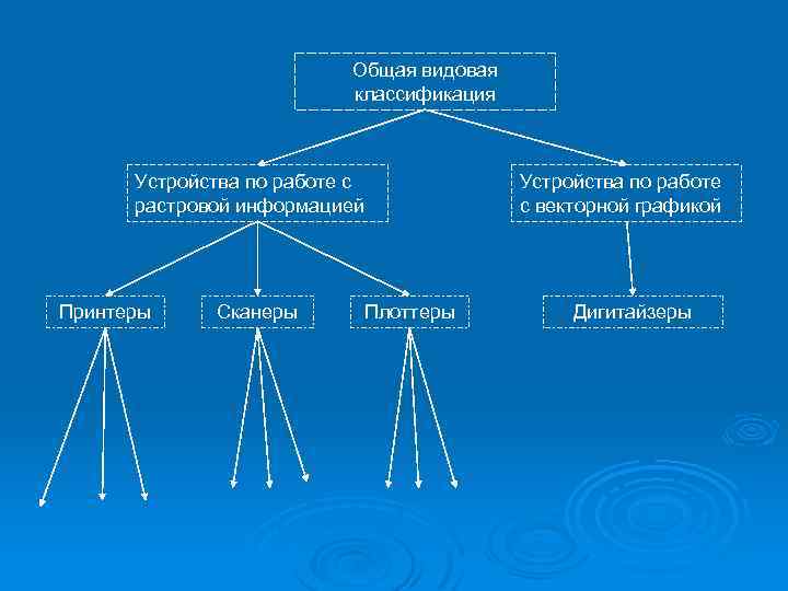 Общая видовая классификация Устройства по работе с растровой информацией Принтеры Сканеры Плоттеры Устройства по