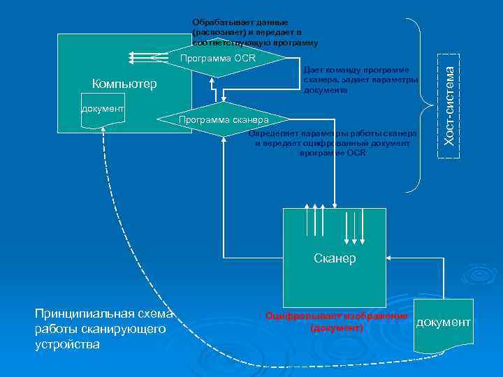 Обрабатывает данные (распознает) и передает в соответствующую программу Дает команду программе сканера, задает параметры