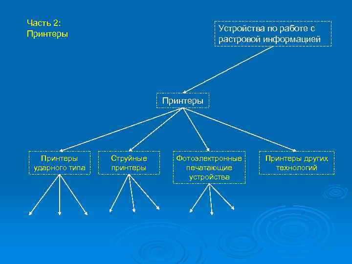 Часть 2: Принтеры Устройства по работе с растровой информацией Принтеры ударного типа Струйные принтеры