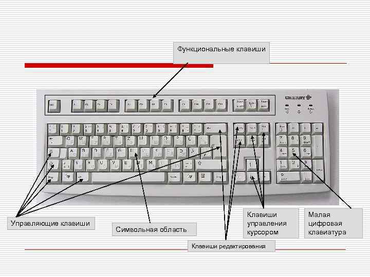 Функциональные клавиши Управляющие клавиши Символьная область Клавиши управления курсором Клавиши редактирования Малая цифровая клавиатура