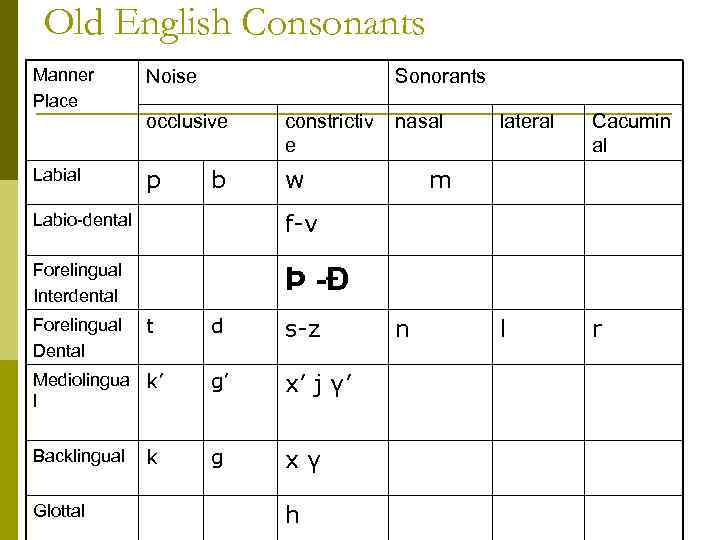 Old English Consonants Manner Place Noise occlusive constrictiv e nasal lateral Labial p w