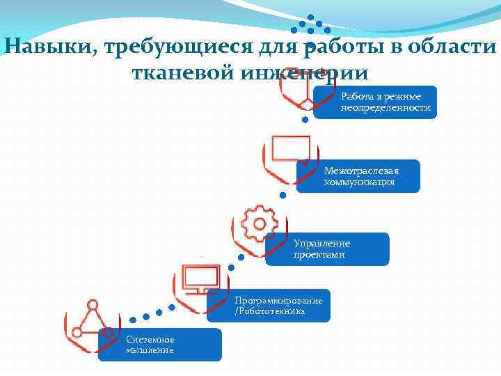 Индивидуальный проект программирование