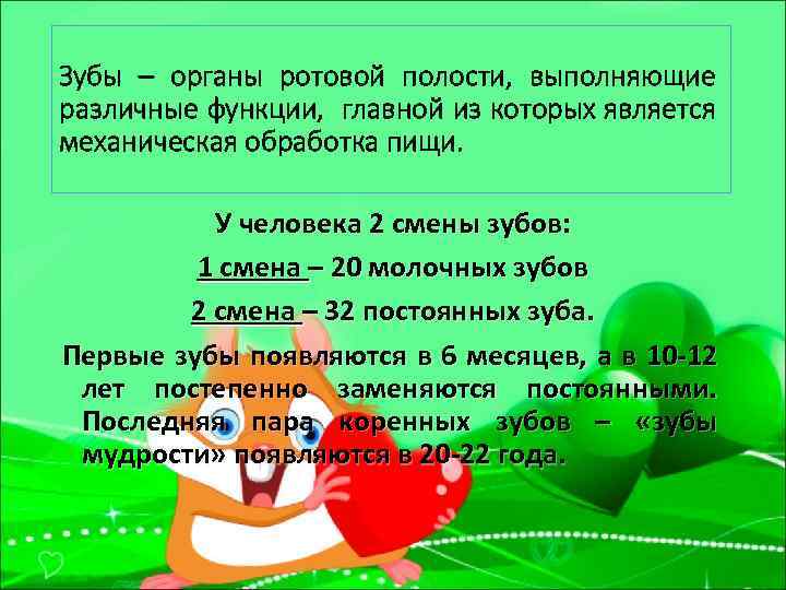 Зубы – органы ротовой полости, выполняющие различные функции, главной из которых является механическая обработка