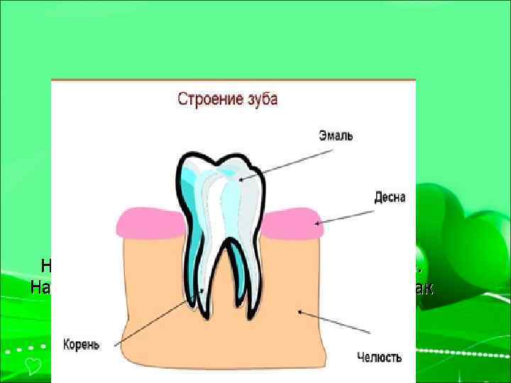 Нарушение в развитие зубов разнообразные. Наиболее распространенные такие болезни как кариес и пародонтоз. 