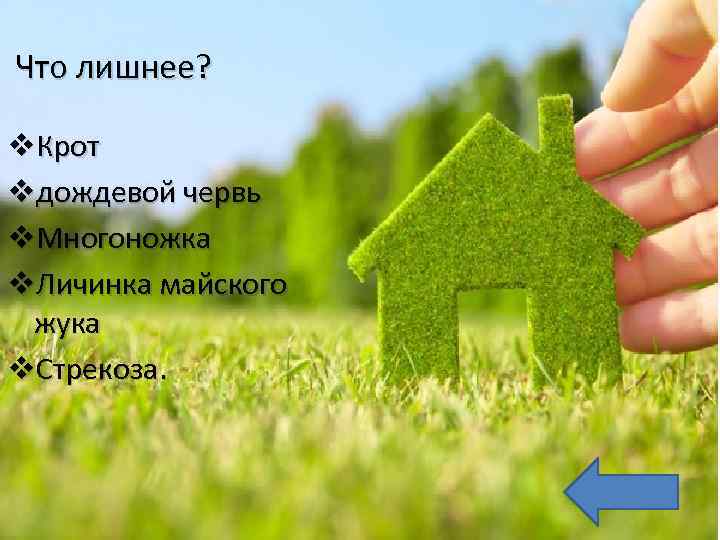 Что лишнее? v. Крот vдождевой червь v. Многоножка v. Личинка майского жука v. Стрекоза.