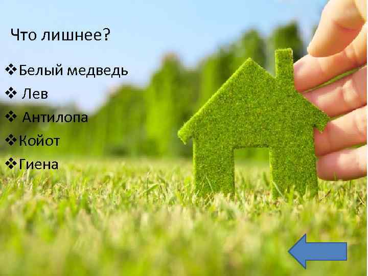 Что лишнее? v. Белый медведь v Лев v Антилопа v. Койот v. Гиена 