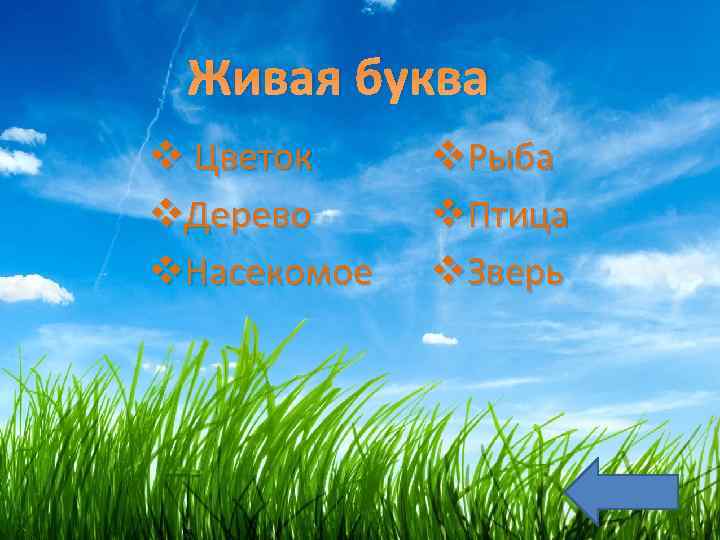 Живая буква v Цветок v. Дерево v. Насекомое v. Рыба v. Птица v. Зверь