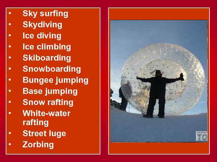  • • • Sky surfing Skydiving Ice climbing Skiboarding Snowboarding Bungee jumping Base