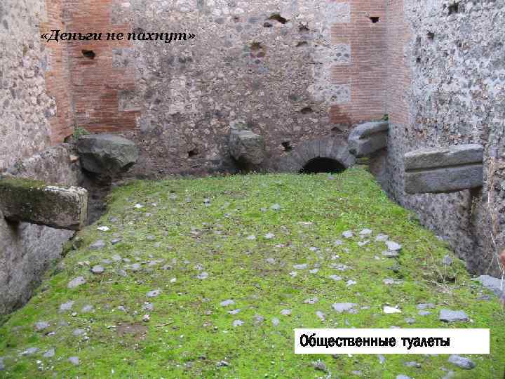  «Деньги не пахнут» Общественные туалеты 