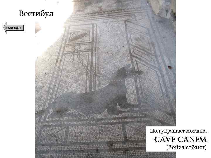 Вестибул план дома Пол украшает мозаика cave canem (бойся собаки) 