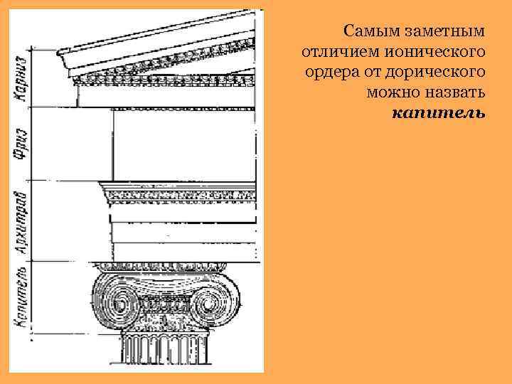 Самым заметным отличием ионического ордера от дорического можно назвать капитель 