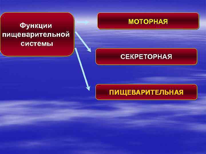 Функции пищеварительной системы МОТОРНАЯ СЕКРЕТОРНАЯ ПИЩЕВАРИТЕЛЬНАЯ 