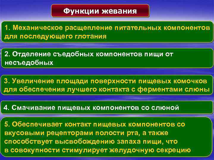 Функции жевания 1. Механическое расщепление питательных компонентов для последующего глотания 2. Отделение съедобных компонентов