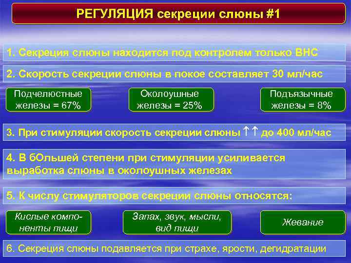 РЕГУЛЯЦИЯ секреции слюны #1 1. Секреция слюны находится под контролем только ВНС 2. Скорость