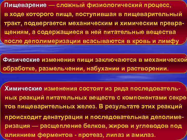 Пищеварение — сложный физиологический процесс, в ходе которого пища, поступившая в пищеварительный тракт, подвергается