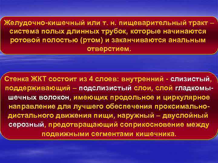 Желудочно-кишечный или т. н. пищеварительный тракт – система полых длинных трубок, которые начинаются ротовой