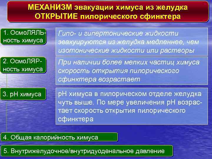 МЕХАНИЗМ эвакуации химуса из желудка ОТКРЫТИЕ пилорического сфинктера 1. Осмо. ЛЯЛЬность химуса Гипо- и