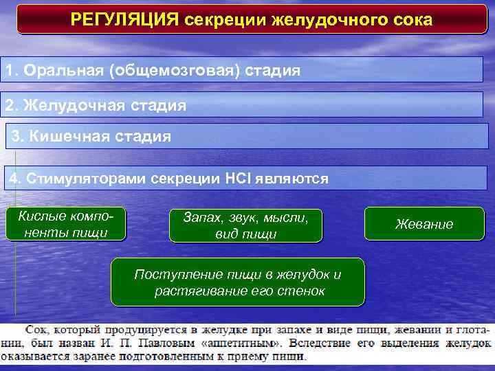 РЕГУЛЯЦИЯ секреции желудочного сока 1. Oральная (общемозговая) стадия 2. Желудочная стадия 3. Кишечная стадия