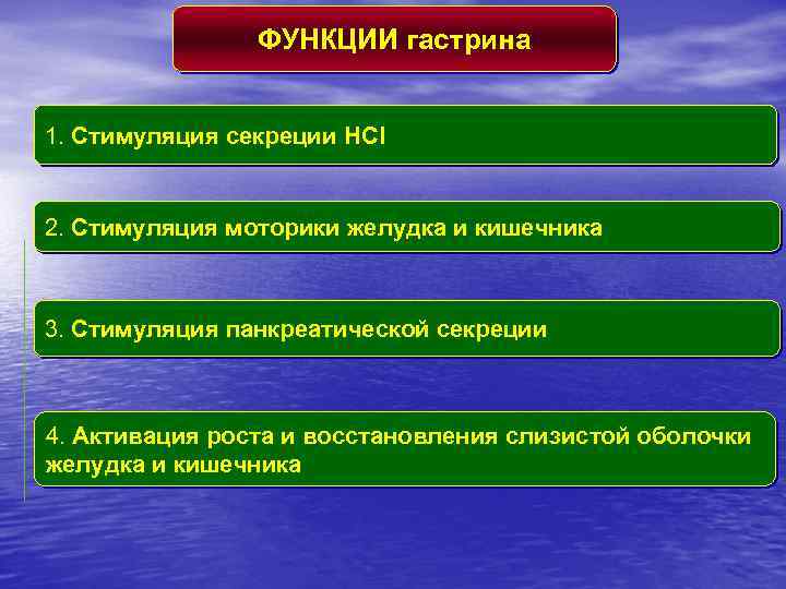 ФУНКЦИИ гастрина 1. Стимуляция секреции HCl 2. Стимуляция моторики желудка и кишечника 3. Стимуляция