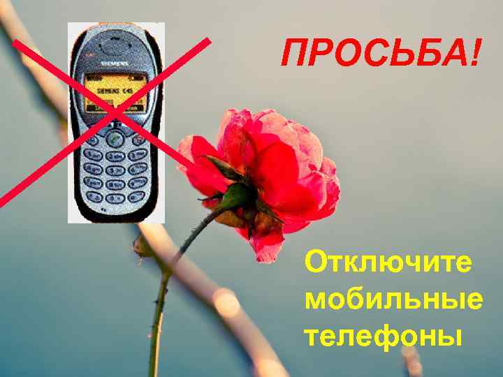 ПРОСЬБА! Отключите мобильные телефоны 