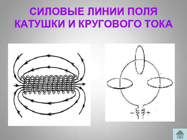 СИЛОВЫЕ ЛИНИИ ПОЛЯ КАТУШКИ И КРУГОВОГО ТОКА 