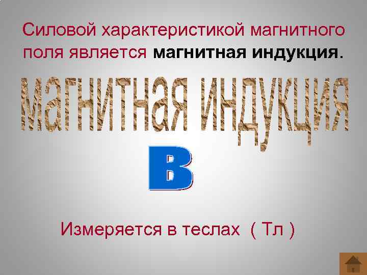 Силовой характеристикой магнитного поля является магнитная индукция. Измеряется в теслах ( Тл ) 