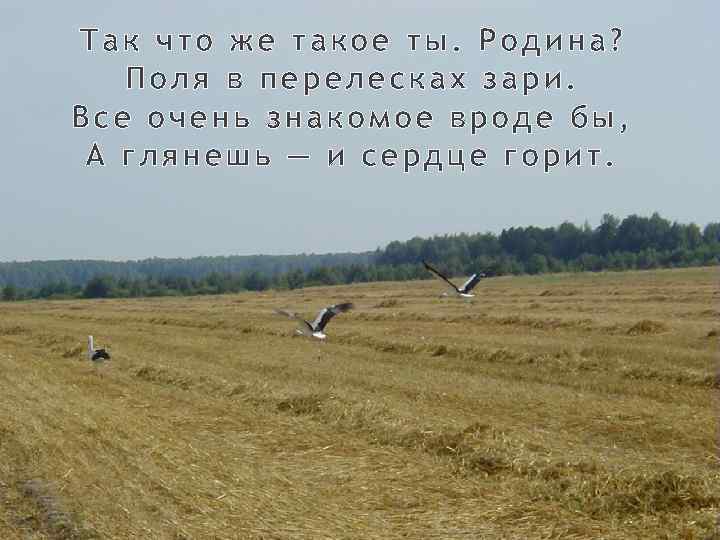 Так что же такое ты. Родина? Поля в перелесках зари. Все очень знакомое вроде