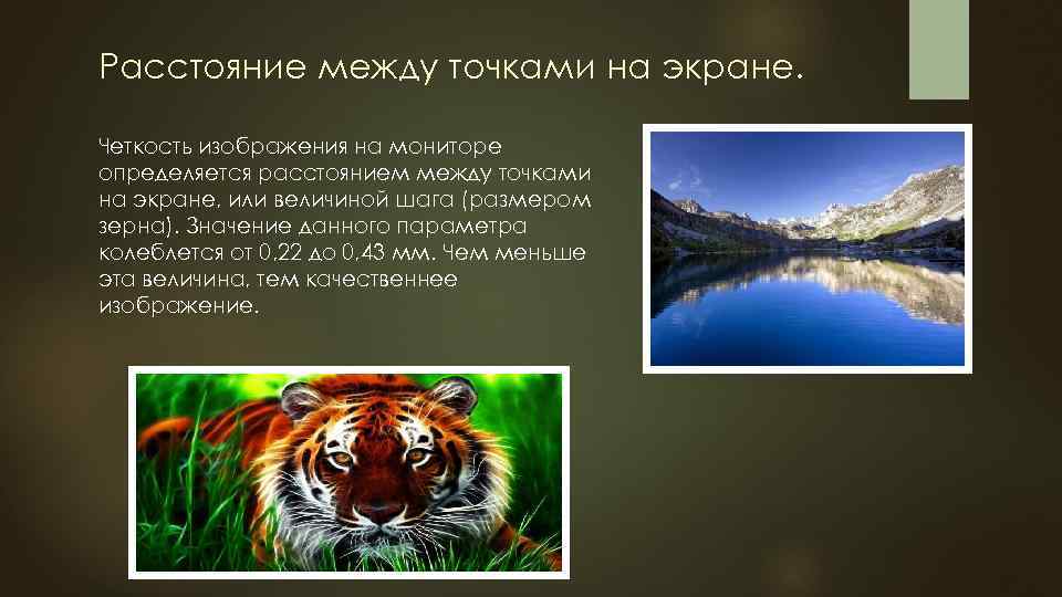 Расстояние между точками на экране. Четкость изображения на мониторе определяется расстоянием между точками на