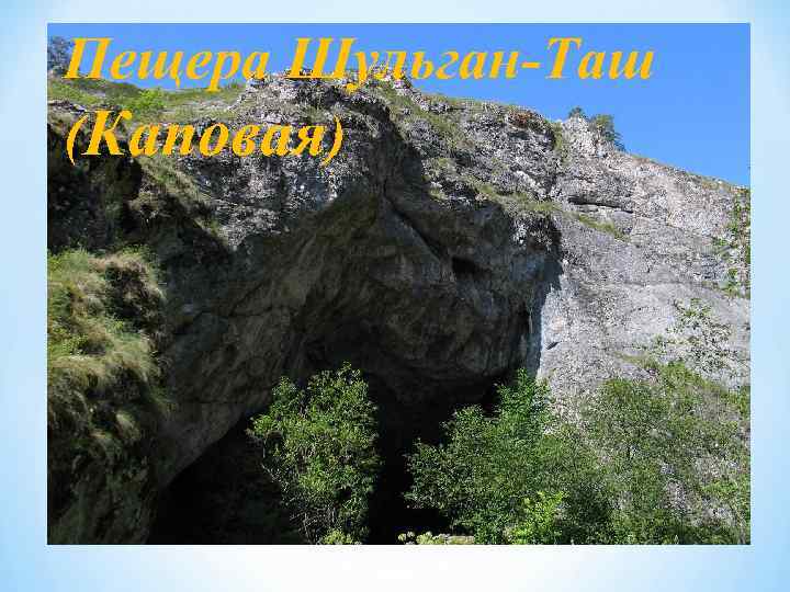 Пещера Шульган-Таш (Каповая) 