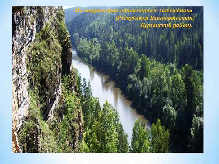 На территории одноименного заповедника (Республика Башкортостан, Бурзянский район). 