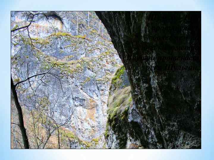 Шульган-Таш протянулась более чем на два километра. Внутри протекает река Шульган. 