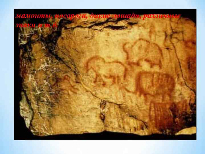 мамонты, носороги, дикие лошади, различные знаки и т. д. 
