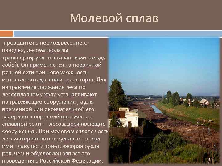 Молевой сплав проводится в период весеннего паводка, лесоматериалы транспортируют не связанными между собой. Он