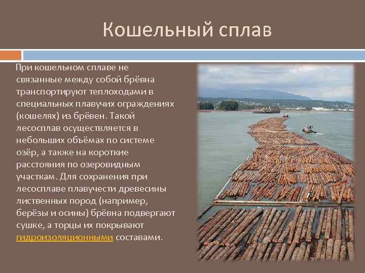 Кошельный сплав При кошельном сплаве не связанные между собой брёвна транспортируют теплоходами в специальных