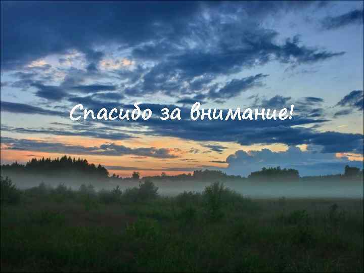 Спасибо за внимание! 