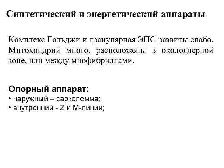 Синтетический и энергетический аппараты Комплекс Гольджи и гранулярная ЭПС развиты слабо. Митохондрий много, расположены