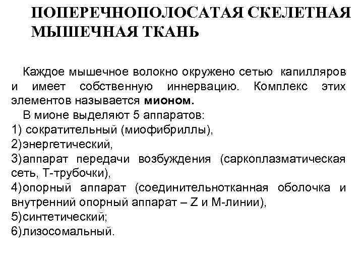 ПОПЕРЕЧНОПОЛОСАТАЯ СКЕЛЕТНАЯ МЫШЕЧНАЯ ТКАНЬ Каждое мышечное волокно окружено сетью капилляров и имеет собственную иннервацию.